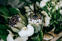 Fleur-Challis-Photography-25-2